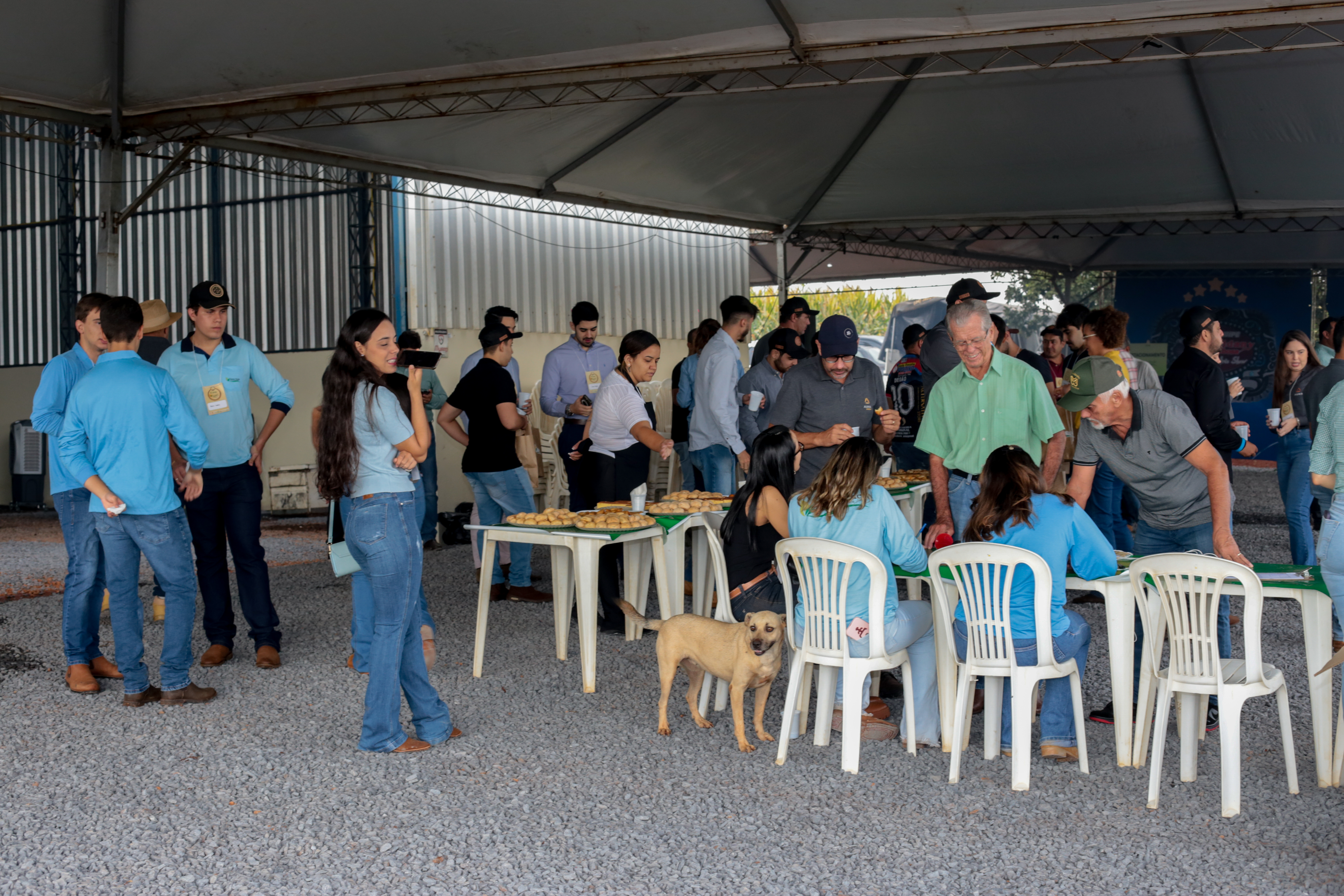 2° Dia de Campo - Foto 20